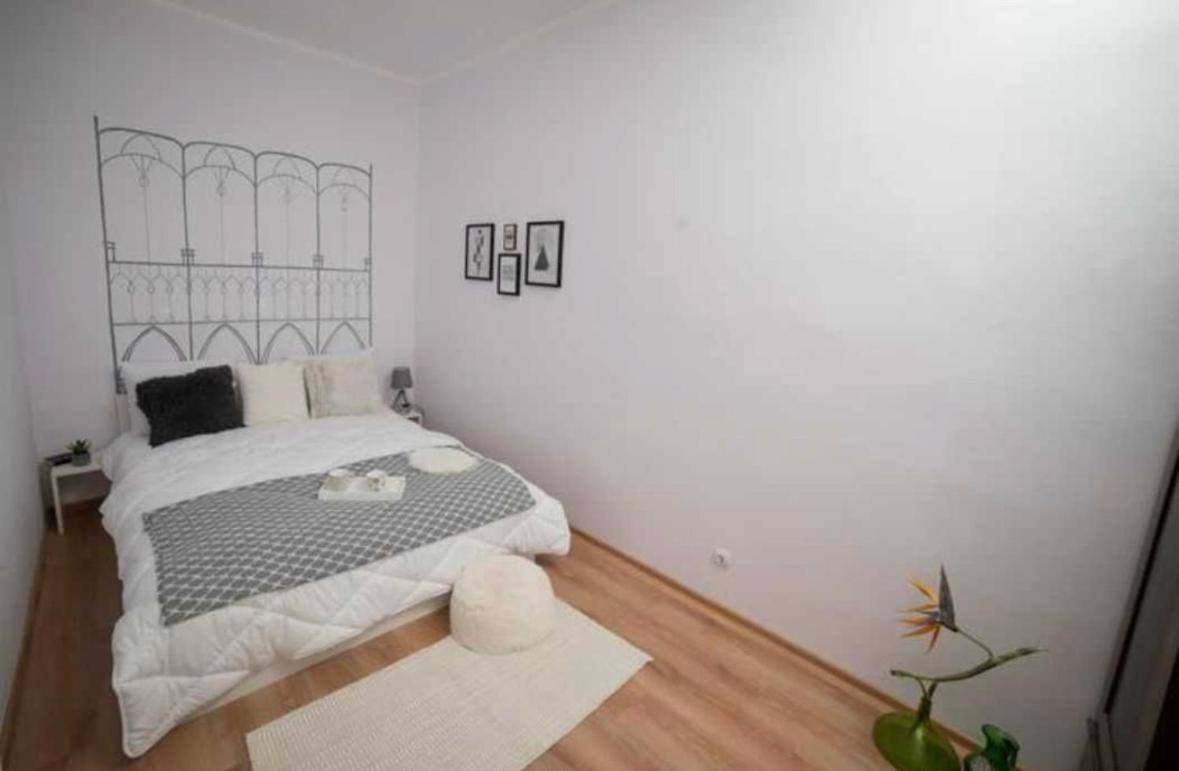 Charming Apartament City Center Timisoara Exterior foto
